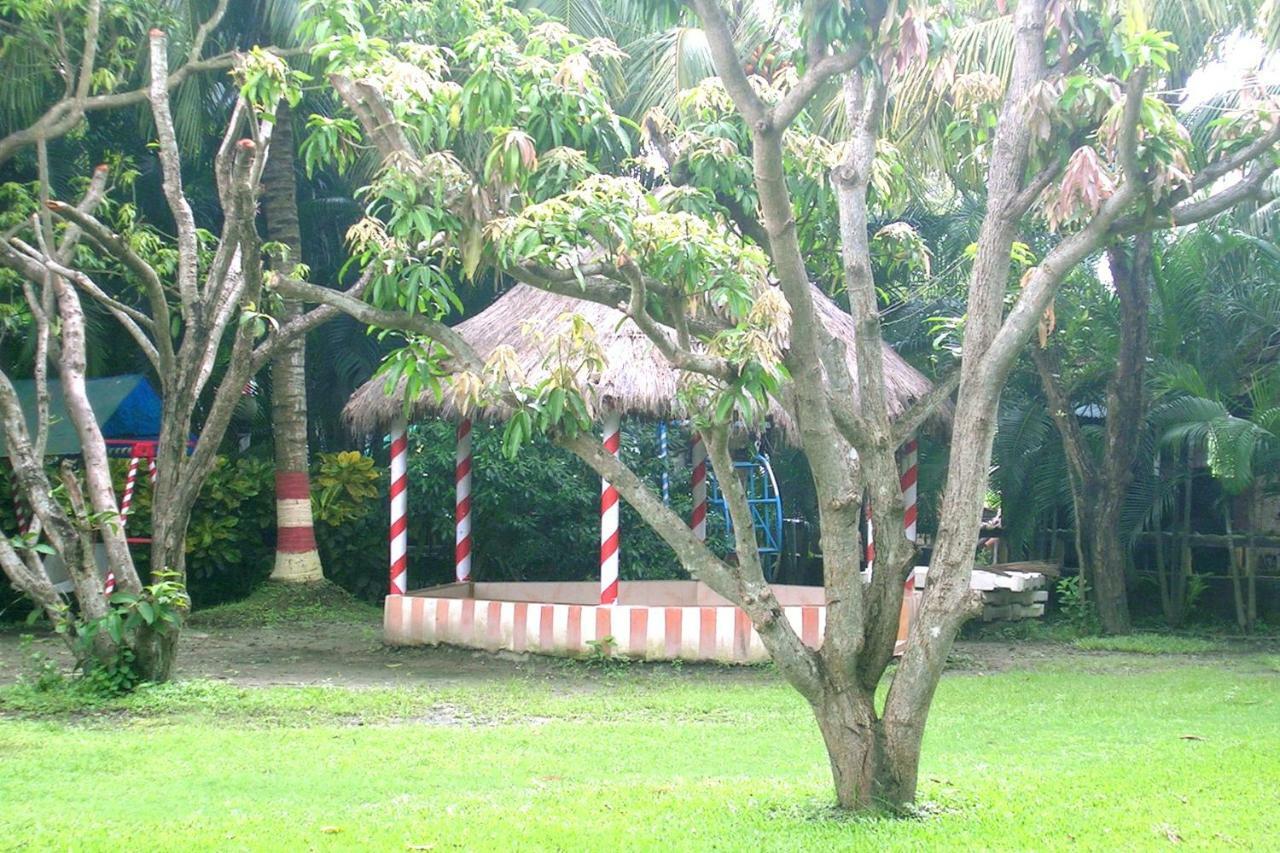 Palm Village Resort Kalkutta Exterior foto
