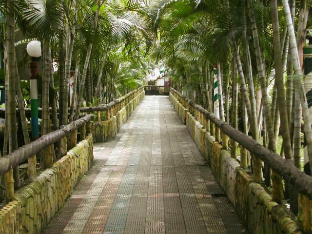 Palm Village Resort Kalkutta Exterior foto